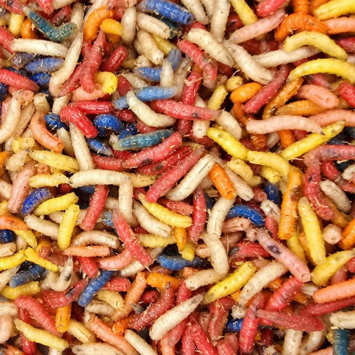 1000ct Assorted Spikes