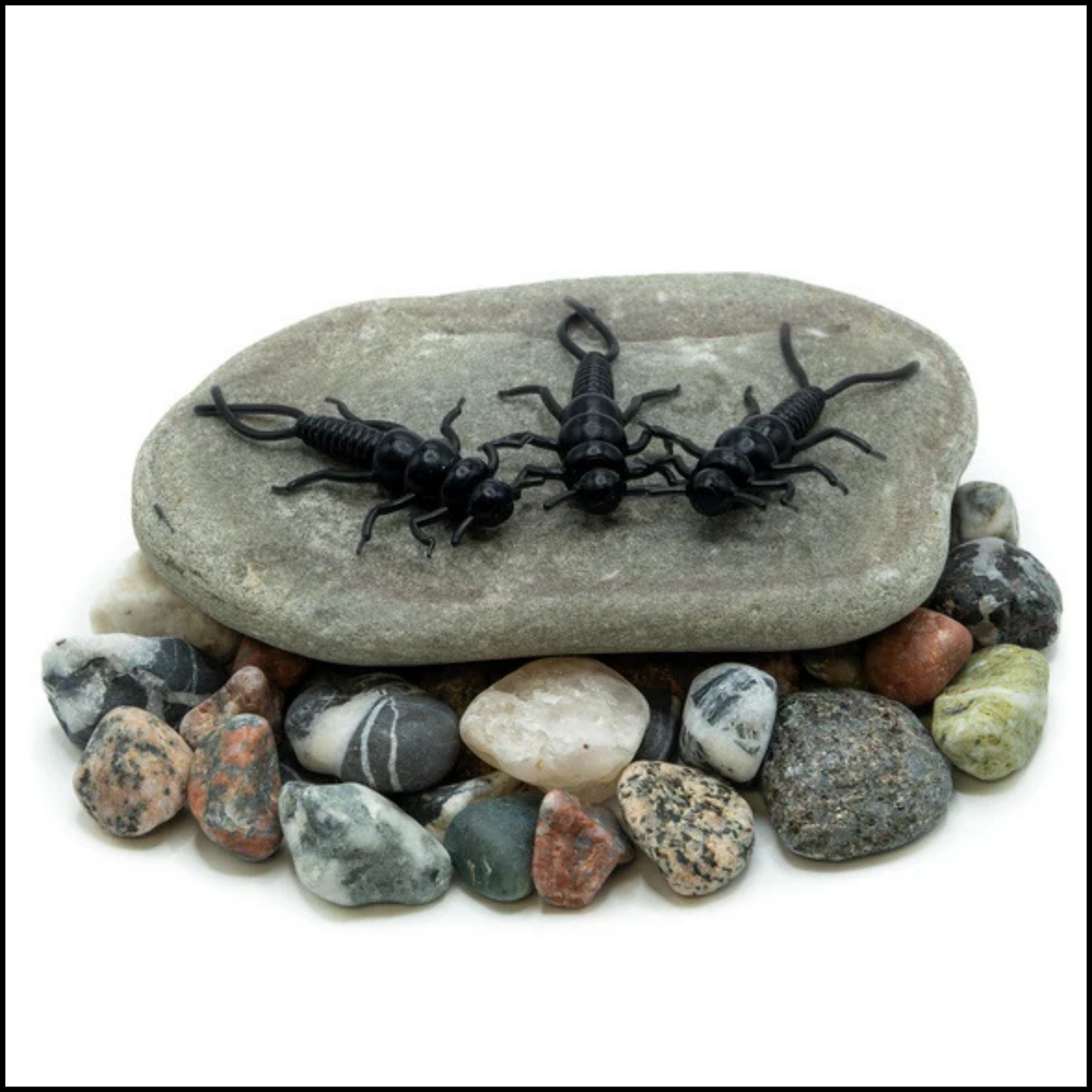 Death Roe Sinister Stone Bug 10pk