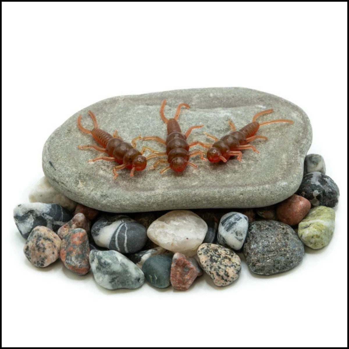 Death Roe Sinister Stone Bug 10pk