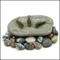 Death Roe Sinister Stone Bug 10pk