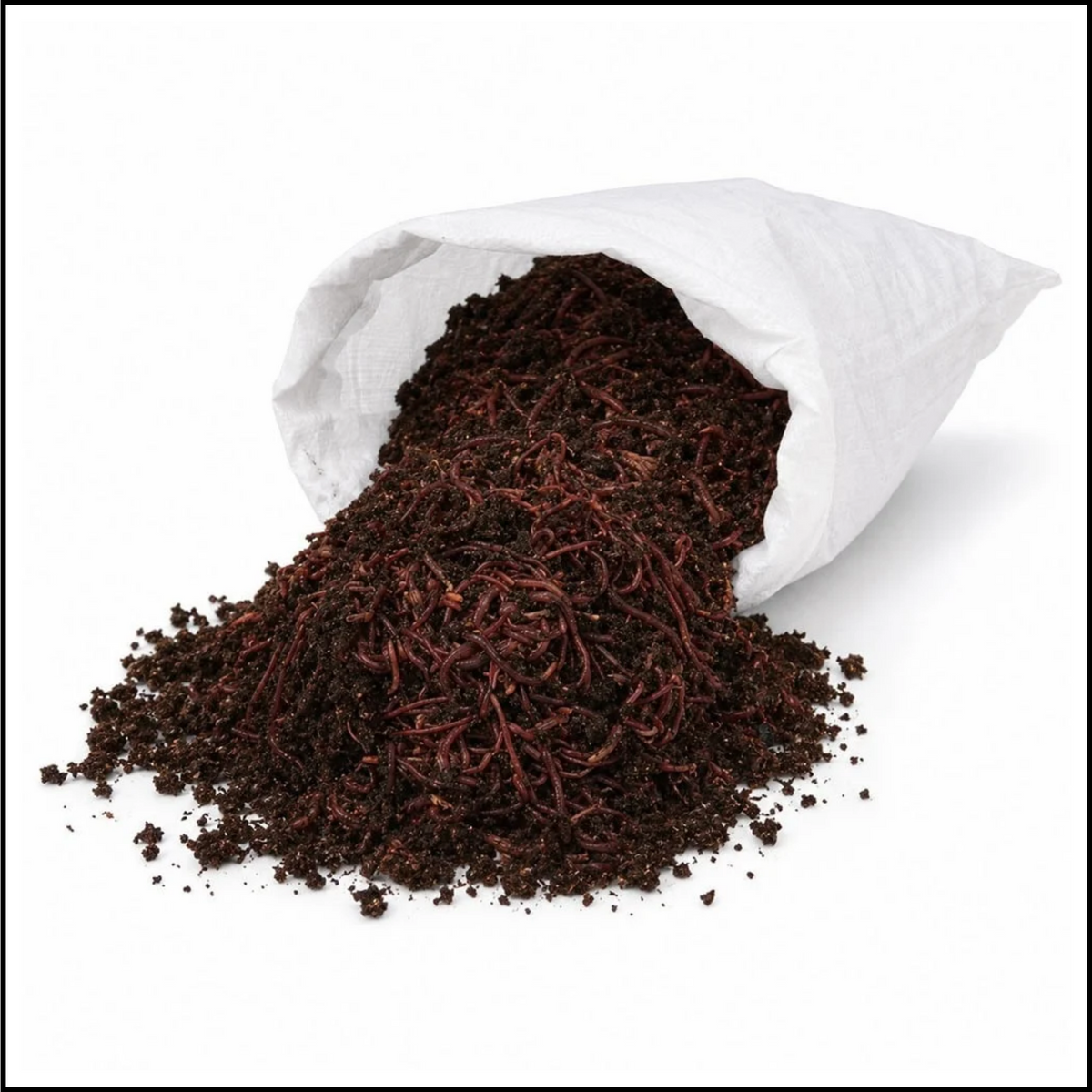 30ct Giant Red Worms