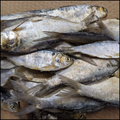 8oz Bag of Frozen Whole Shad