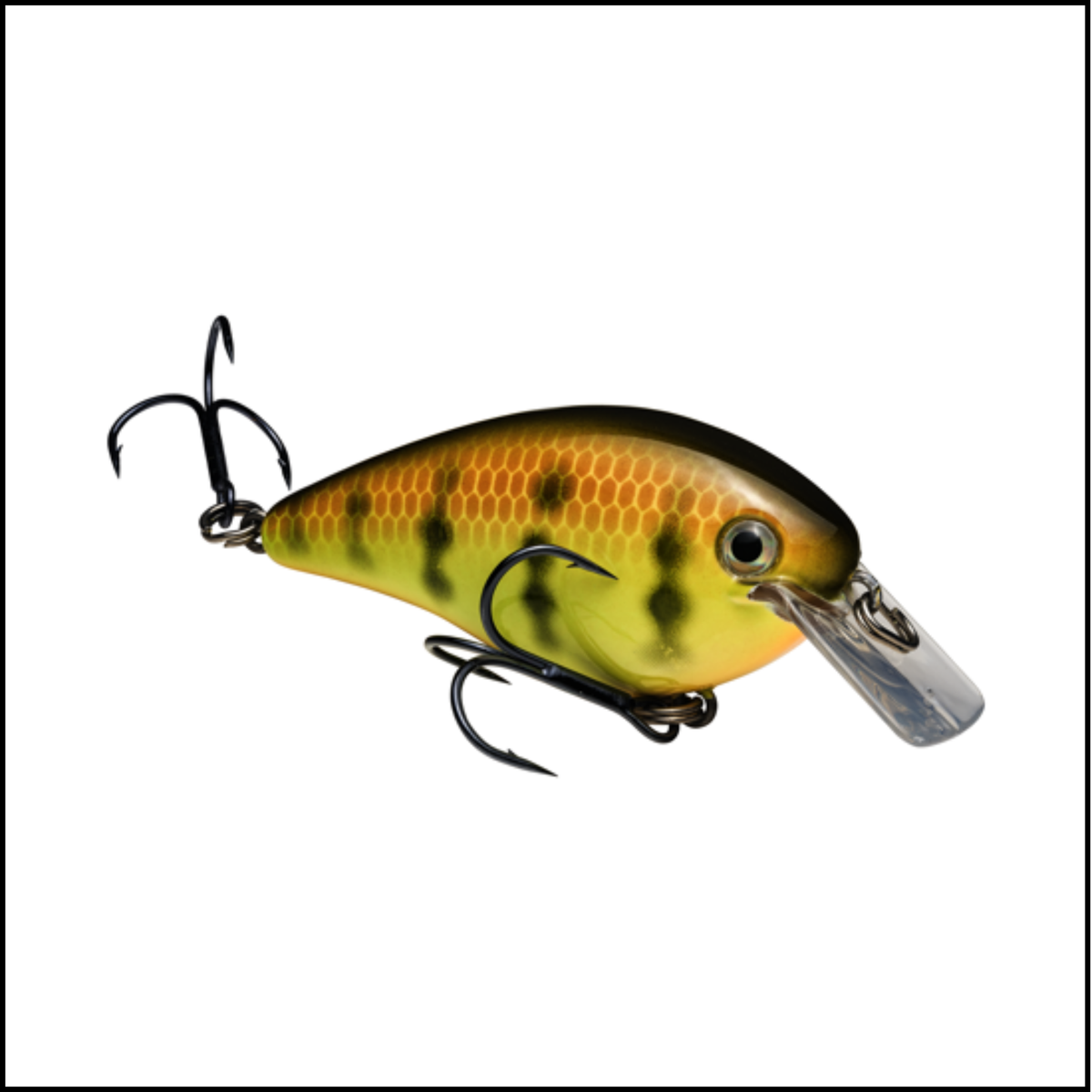 KVD Square Bill 1.5 Crankbait